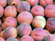 Peaches (4-5)